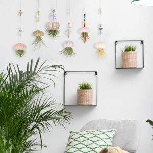 Patelai 6 Pieces Hanging Sea Urchin Shell Pot Decorative Air Plant Holder Cute Mini Shell Succulent Display Container for Boho Home Indoor Outdoor Wall Garden Decoration