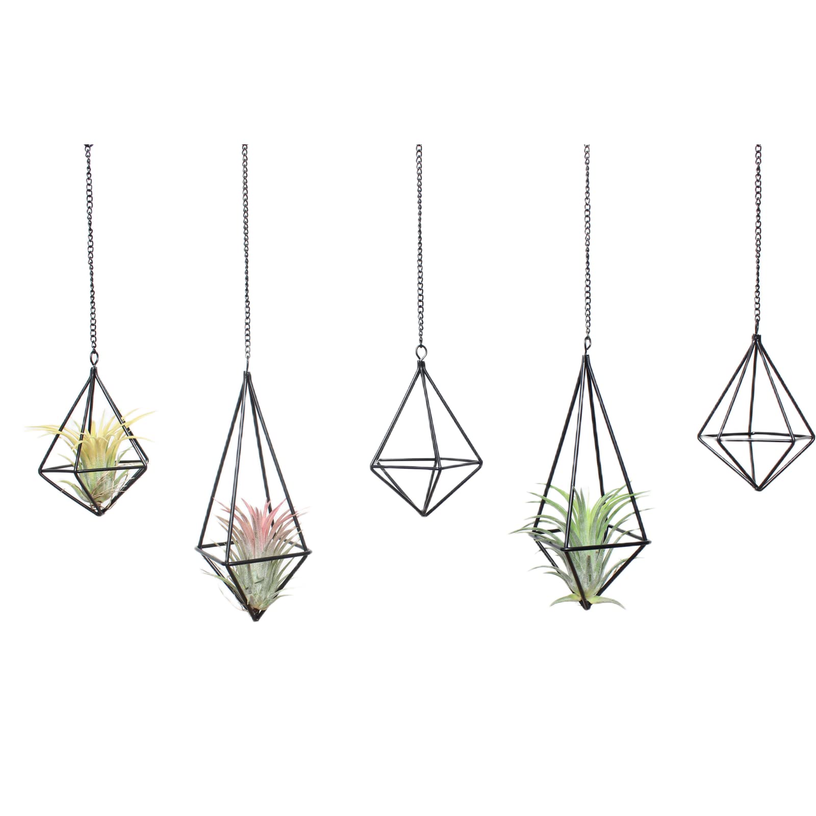 SZRUIZFZ Tillandsia Air Plant Holder Black Geometric Hanging Air Plant Holders Unique for Wall Decor Xerographica Air Plant Hanger for Indoor Decor Himmeli Geometric Decor (5Pcs)