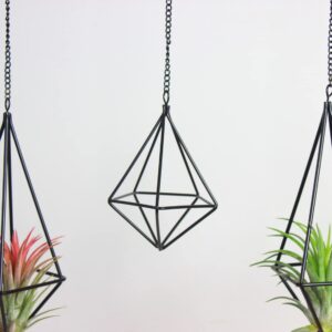 SZRUIZFZ Tillandsia Air Plant Holder Black Geometric Hanging Air Plant Holders Unique for Wall Decor Xerographica Air Plant Hanger for Indoor Decor Himmeli Geometric Decor (5Pcs)