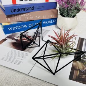 SZRUIZFZ Tillandsia Air Plant Holder Black Geometric Hanging Air Plant Holders Unique for Wall Decor Xerographica Air Plant Hanger for Indoor Decor Himmeli Geometric Decor (5Pcs)