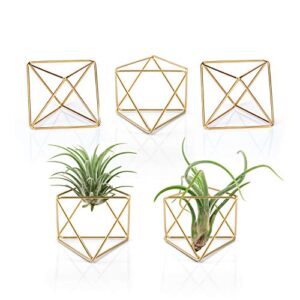 mkono 5 packs air plant holder, same shape metal tabletop himmeli decor geometric planter tillandsia air fern display stand with each side 2.6'' long for christma decor gifts for plant lovers, gold