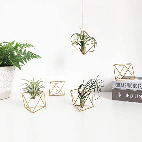 Mkono 5 Packs Air Plant Holder, Same Shape Metal Tabletop Himmeli Decor Geometric Planter Tillandsia Air Fern Display Stand with Each Side 2.6'' Long for Christma Decor Gifts for Plant Lovers, Gold