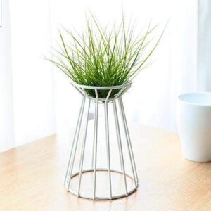 Mokylor Air Plant Tillandsia Base Large Holder Metal Indoor Tabletop Big Streptophylla Air Plant Stands Tillandsia Plant Racks Large Xerographica (White)