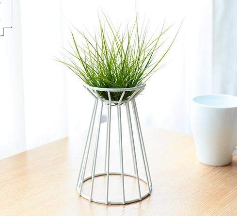 Mokylor Air Plant Tillandsia Base Large Holder Metal Indoor Tabletop Big Streptophylla Air Plant Stands Tillandsia Plant Racks Large Xerographica (White)