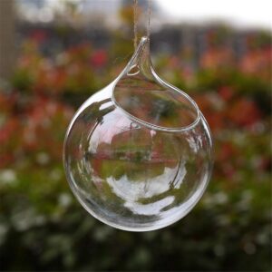 Ivolador Hanging Plants Glass Terrarium Container 4.7 Inches Air Plant Holder Succulents Globe Shape Home Garden Décor- 3 PCS