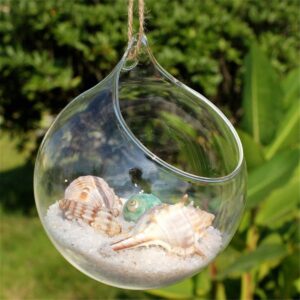 Ivolador Hanging Plants Glass Terrarium Container 4.7 Inches Air Plant Holder Succulents Globe Shape Home Garden Décor- 3 PCS