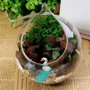 Ivolador Hanging Plants Glass Terrarium Container 4.7 Inches Air Plant Holder Succulents Globe Shape Home Garden Décor- 3 PCS