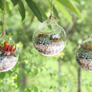 Ivolador Hanging Plants Glass Terrarium Container 4.7 Inches Air Plant Holder Succulents Globe Shape Home Garden Décor- 3 PCS