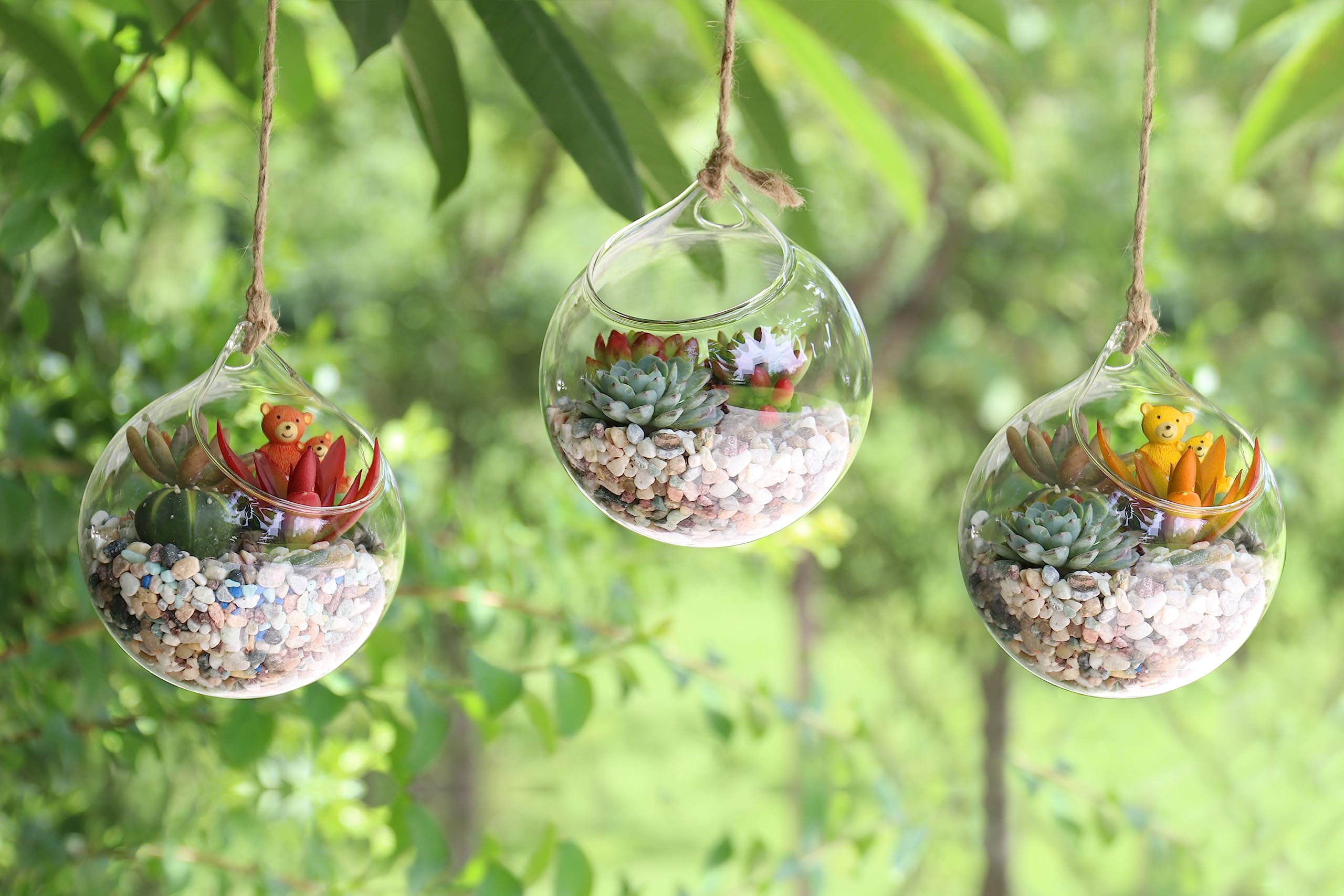 Ivolador Hanging Plants Glass Terrarium Container 4.7 Inches Air Plant Holder Succulents Globe Shape Home Garden Décor- 3 PCS