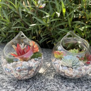 Ivolador Hanging Plants Glass Terrarium Container 4.7 Inches Air Plant Holder Succulents Globe Shape Home Garden Décor- 3 PCS