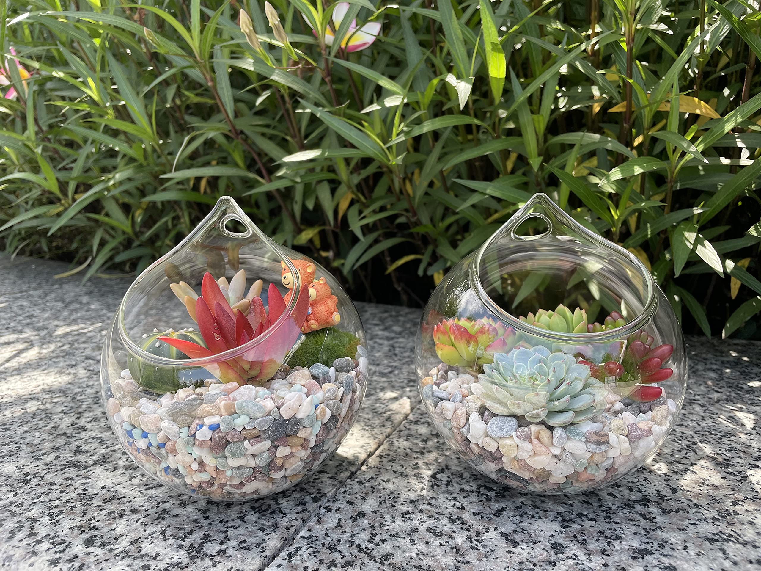 Ivolador Hanging Plants Glass Terrarium Container 4.7 Inches Air Plant Holder Succulents Globe Shape Home Garden Décor- 3 PCS