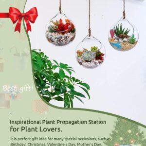 Ivolador Hanging Plants Glass Terrarium Container 4.7 Inches Air Plant Holder Succulents Globe Shape Home Garden Décor- 3 PCS