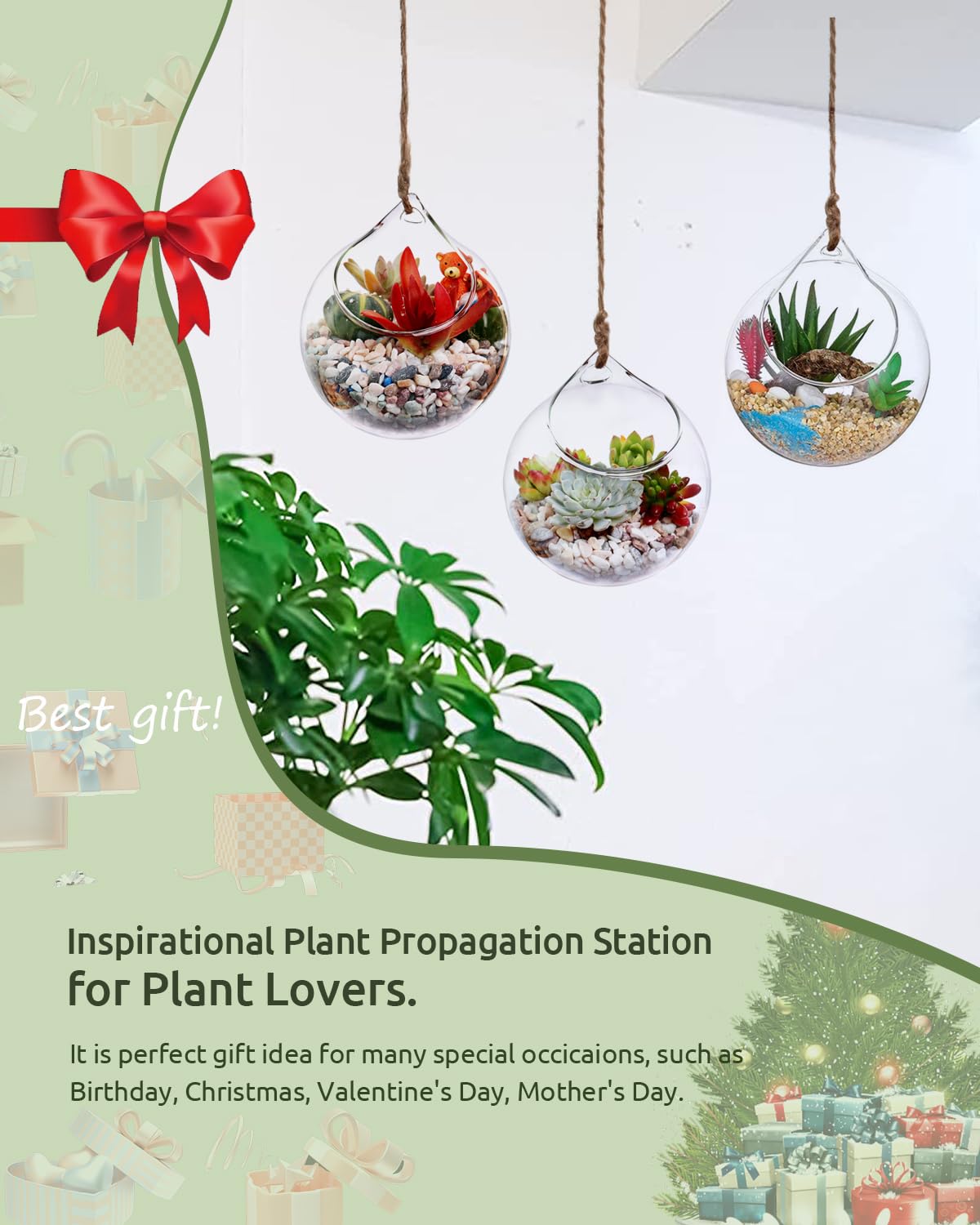 Ivolador Hanging Plants Glass Terrarium Container 4.7 Inches Air Plant Holder Succulents Globe Shape Home Garden Décor- 3 PCS