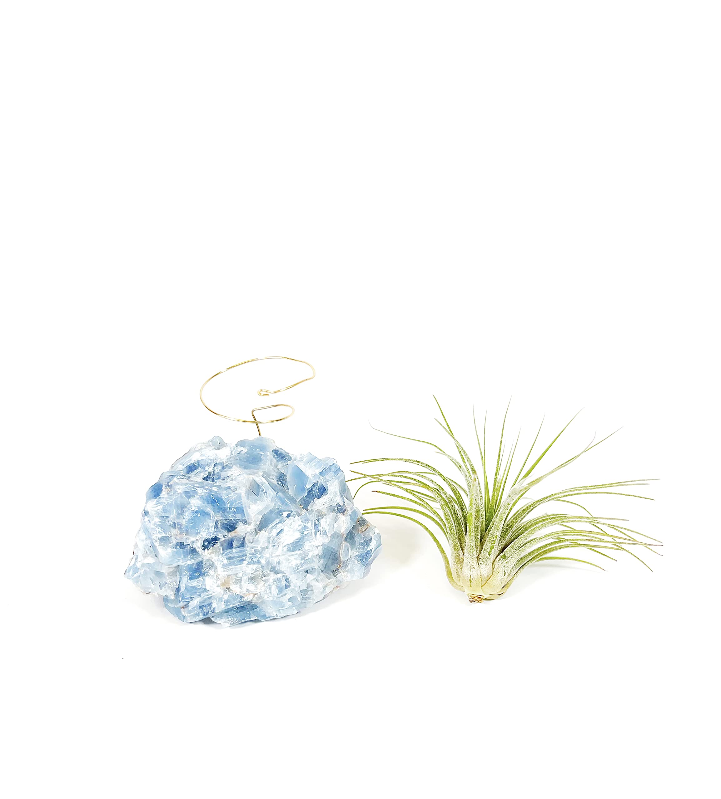 Thoughtful Birthday Gift for Plant and Crystal Lovers Blue Calcite Crystal Air Plant Holder Includes Air Plant and Gift Box Unique Meaningful Gift for Best Friend Girl Friend Boyfriend