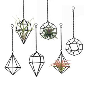 libproqia Small Air Plants Hanging Holders Wire Airplants Planter Hanger Black Geometric Metal Himmeli 6pcs Tillandsia Air Fern Display Holders for Hanging Air Plants