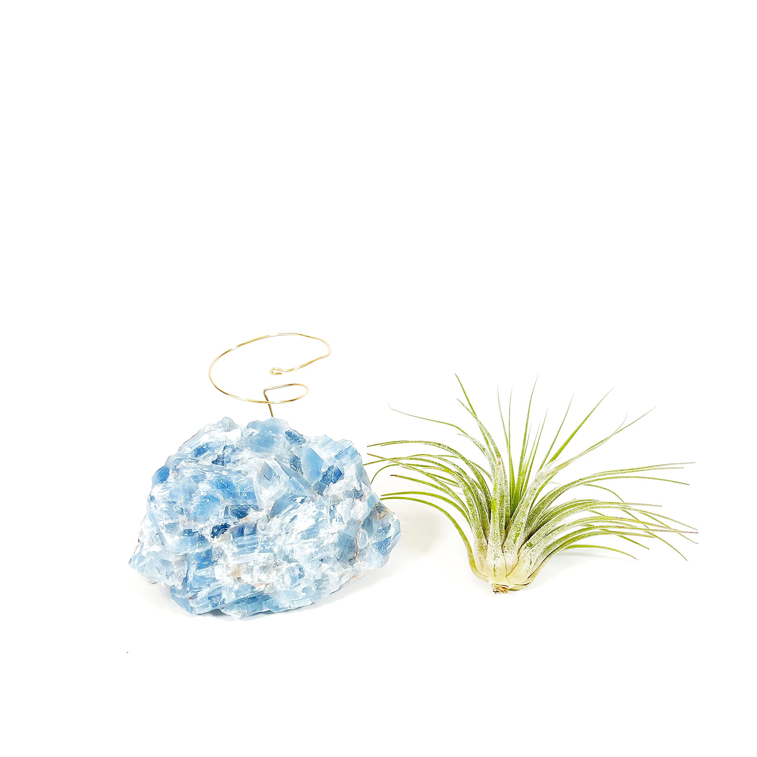 Blue Calcite Crystal Air Plant Holder Includes Healthy Air Plant and Gift Box