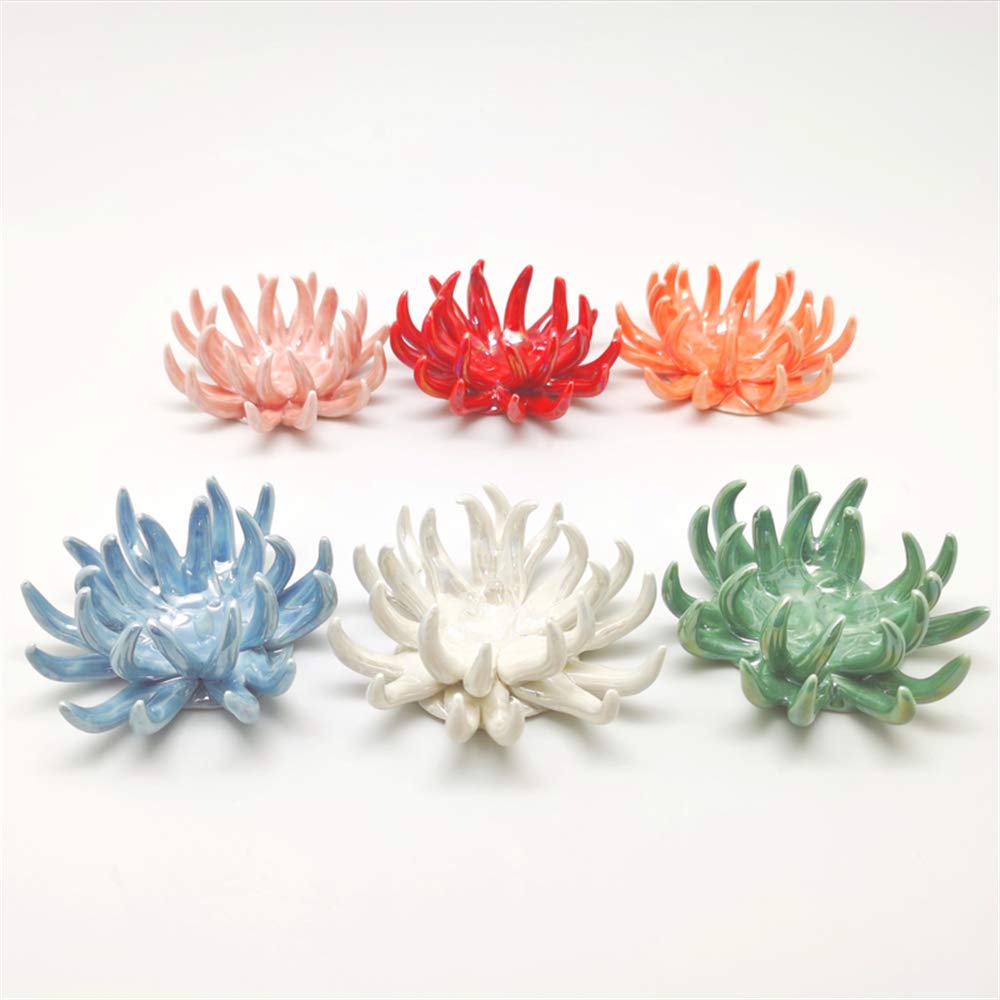 Tillandsiart 6 Pack air plant Holders (6Pcs Air Plant Containers w/6 Colors Assorted) A Ceramic Coral Set to CreateGifts or Decorate Tabletop - air plants Not Included