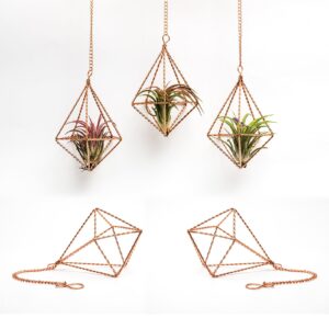 libproqia 5 Pcs Hanging Geometric Air Plants Holders Twisted Metal Airplant Hangers Small Diamond Shape Tillandsia Planter Display with Chains Himmeli Decor for Home and Office,Rose Gold