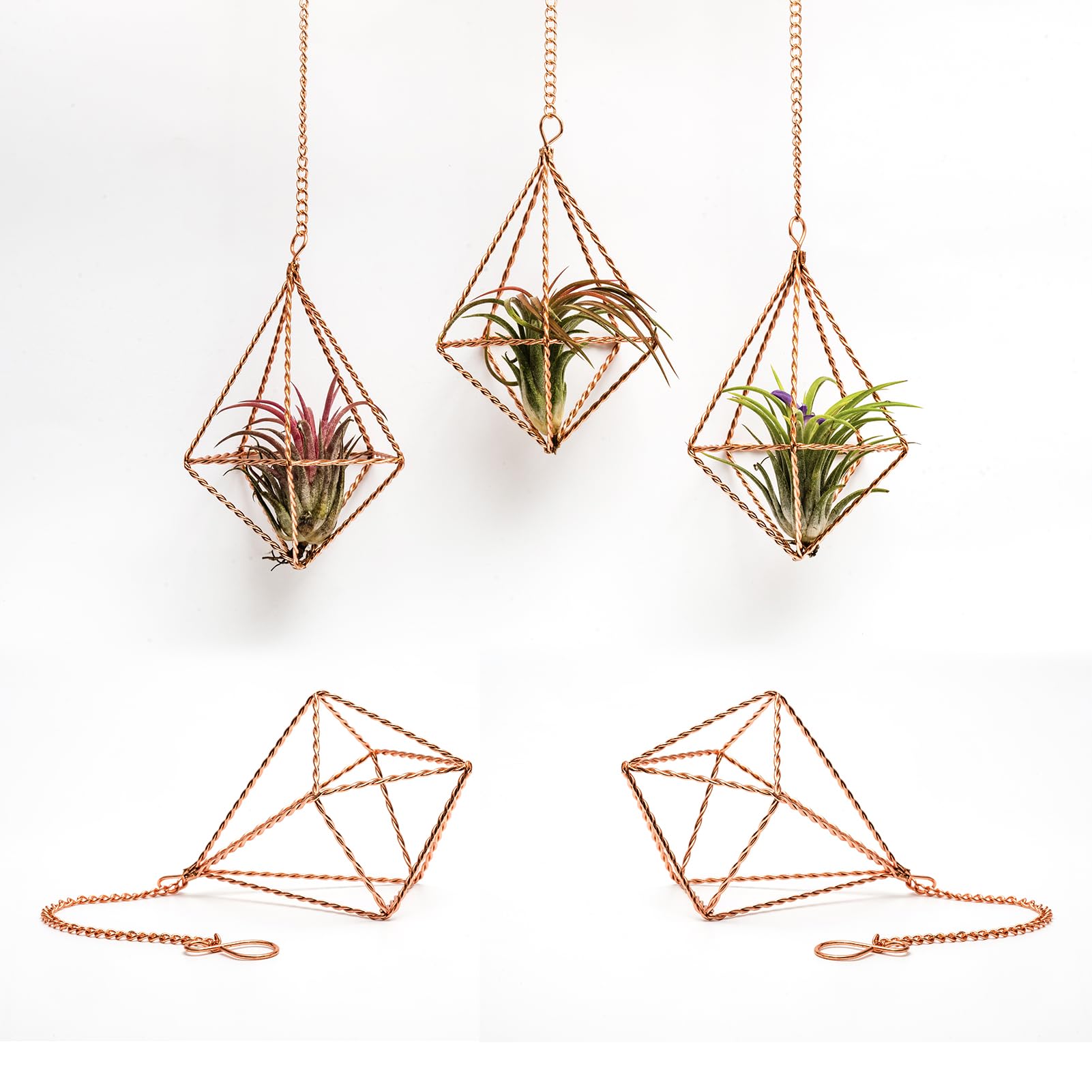 libproqia 5 Pcs Hanging Geometric Air Plants Holders Twisted Metal Airplant Hangers Small Diamond Shape Tillandsia Planter Display with Chains Himmeli Decor for Home and Office,Rose Gold