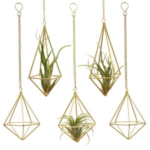 Geometric Hanging Tillandsia Holder Gold Metal Air Plants Holders Hanging for House Decor Living Room,Small Plant Holders Indoor Hanging,Plant Lover Gifts (5Pcs)