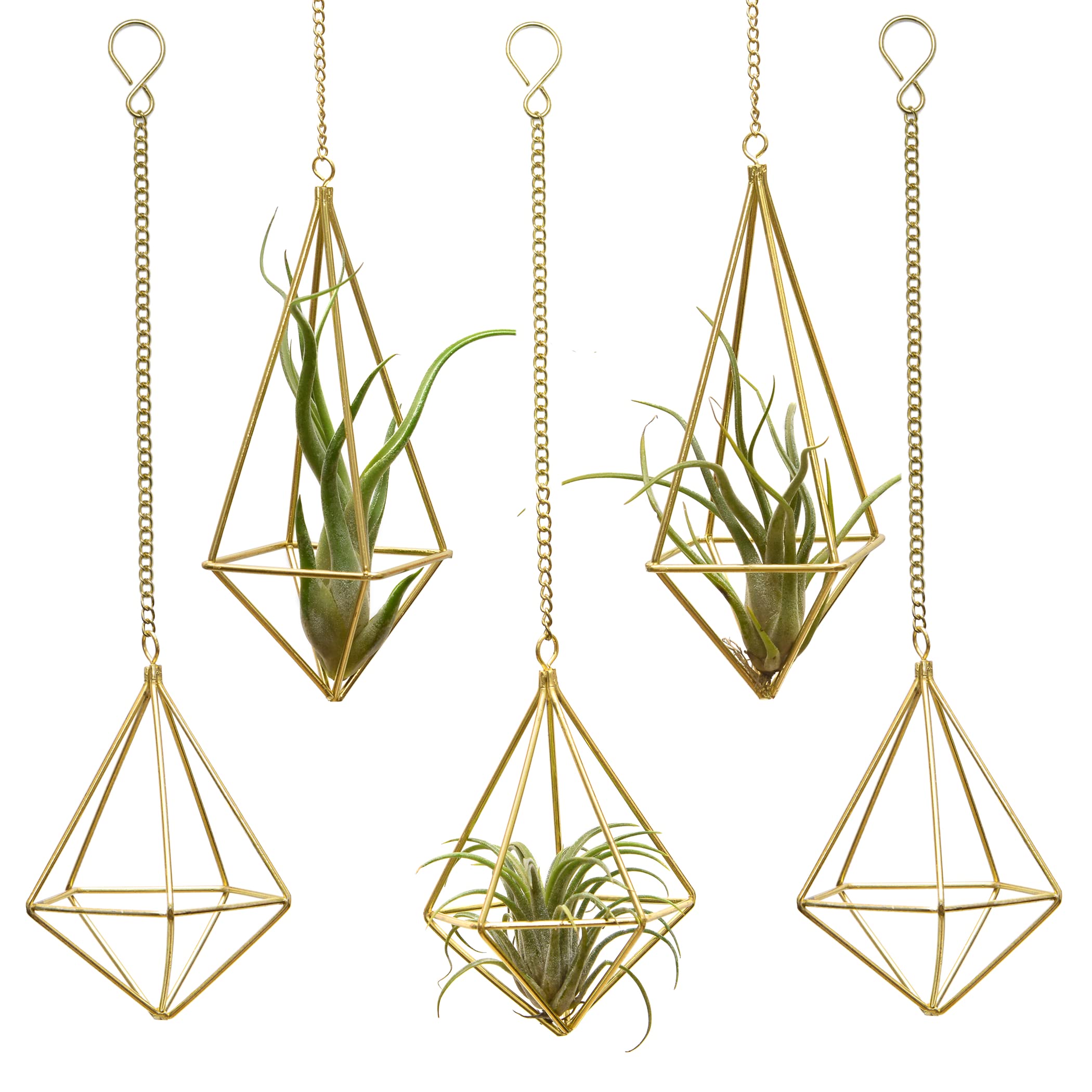 Geometric Hanging Tillandsia Holder Gold Metal Air Plants Holders Hanging for House Decor Living Room,Small Plant Holders Indoor Hanging,Plant Lover Gifts (5Pcs)