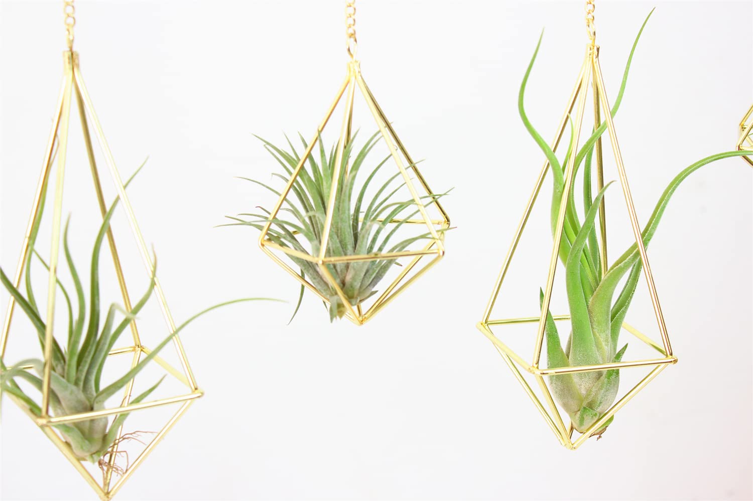 Geometric Hanging Tillandsia Holder Gold Metal Air Plants Holders Hanging for House Decor Living Room,Small Plant Holders Indoor Hanging,Plant Lover Gifts (5Pcs)