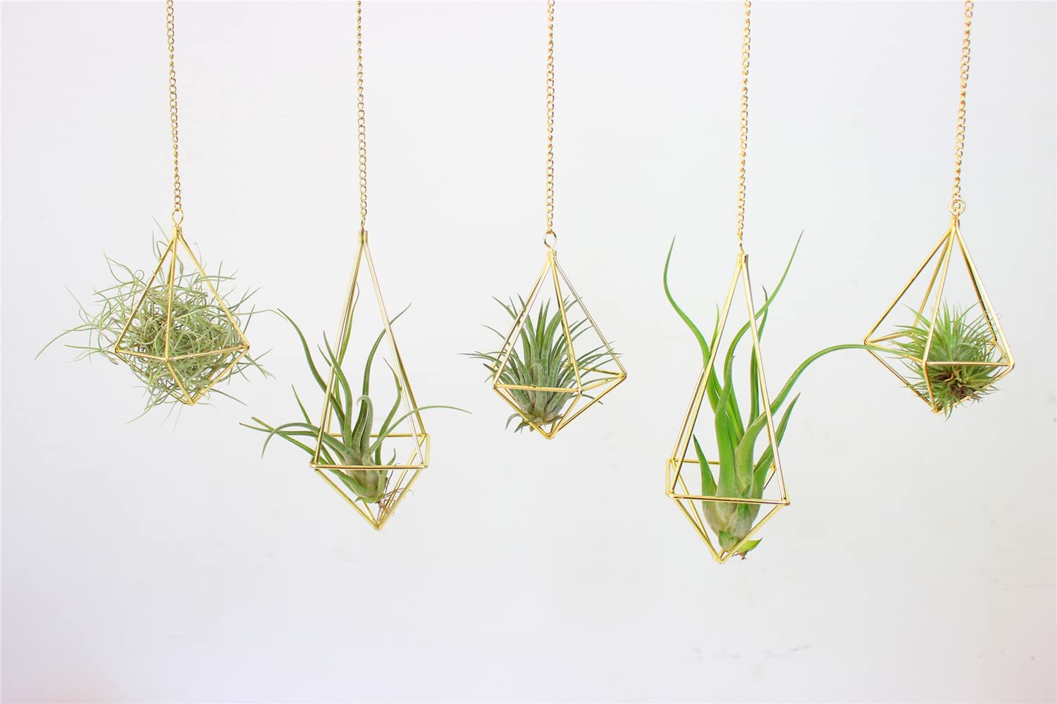 Geometric Hanging Tillandsia Holder Gold Metal Air Plants Holders Hanging for House Decor Living Room,Small Plant Holders Indoor Hanging,Plant Lover Gifts (5Pcs)