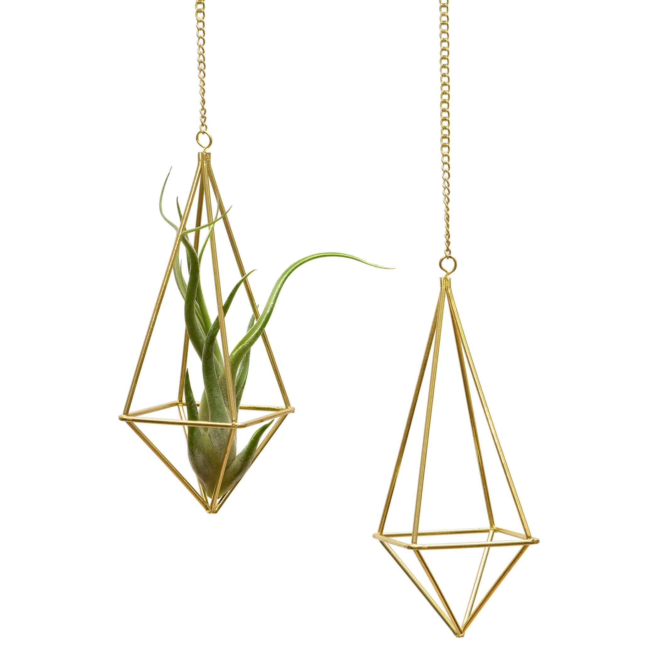 Geometric Hanging Tillandsia Holder Gold Metal Air Plants Holders Hanging for House Decor Living Room,Small Plant Holders Indoor Hanging,Plant Lover Gifts (5Pcs)