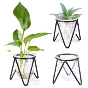 Jspupifip 3 Pcs Glass Plant Terrarium with Metal Stand, Air Plants Holders Hydroponic Plant Vases Desktop Bulb Glass Vase for Indoor Plants Home Garden Office Decoration, Black