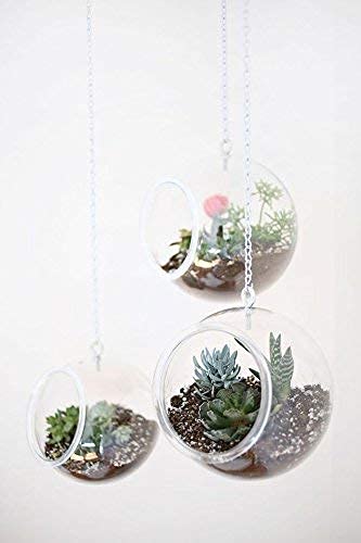 2 Clear Globe Terrarium Plastic 4.5" x 4.5" x 5,5" DIY Create Your own Hanging Planter Stand Kids Crafters Wedding Air Plants Succulents Orbs Candles + Jute tie- Steelpangal