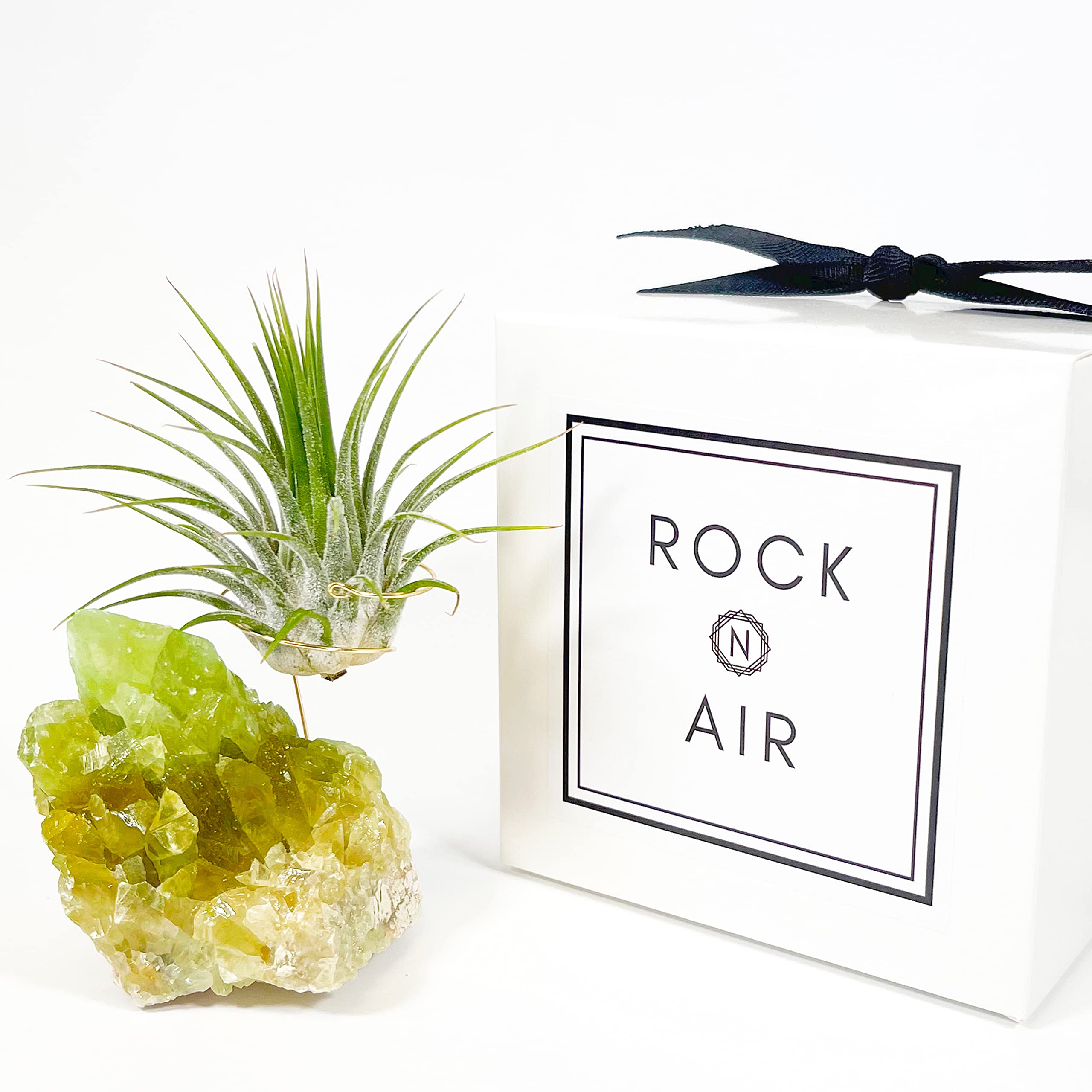 Green Calcite Crystal Air Plant Holder Gift Includes Healthy Live Air Plant and Gift Box Great Gift for Friend Co-worker or Neighbor