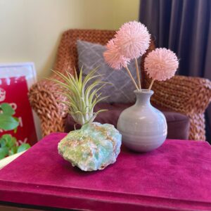 Green Calcite Crystal Air Plant Holder Gift Includes Healthy Live Air Plant and Gift Box Great Gift for Friend Co-worker or Neighbor