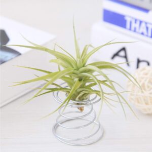 40 Pack Air Plant Stand Holder Tillandsia Airplant Container with Suction Cup Tabletop Planter Display Racks for Hanging Tillandsia House Plants