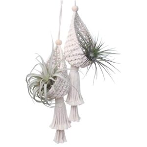 2 pack macrame plant hangers air plants hanging basket, boho macrame wall hanging for indoor outdoor home decor