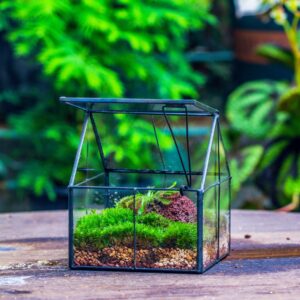 NCYP 4.25" x 4.25" x 4.92" Mini Glass Geometric Terrarium with Lid - Small House Shape Close Planter Pot for Succulents Plant - Handmade, Home Garden Office Tabletop Decor, Black (Terrarium Only)