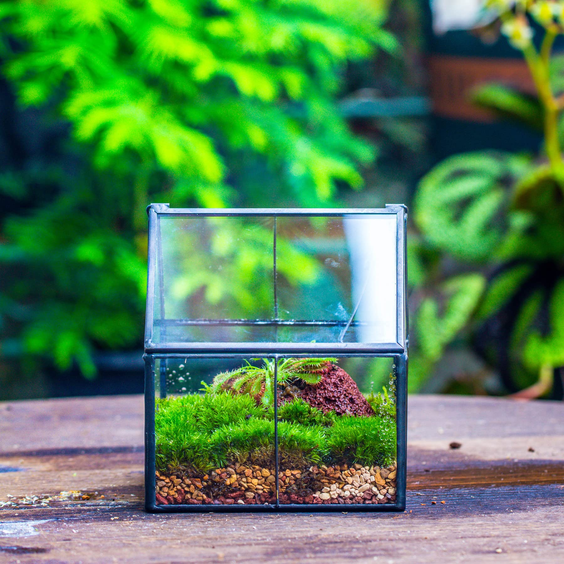 NCYP 4.25" x 4.25" x 4.92" Mini Glass Geometric Terrarium with Lid - Small House Shape Close Planter Pot for Succulents Plant - Handmade, Home Garden Office Tabletop Decor, Black (Terrarium Only)