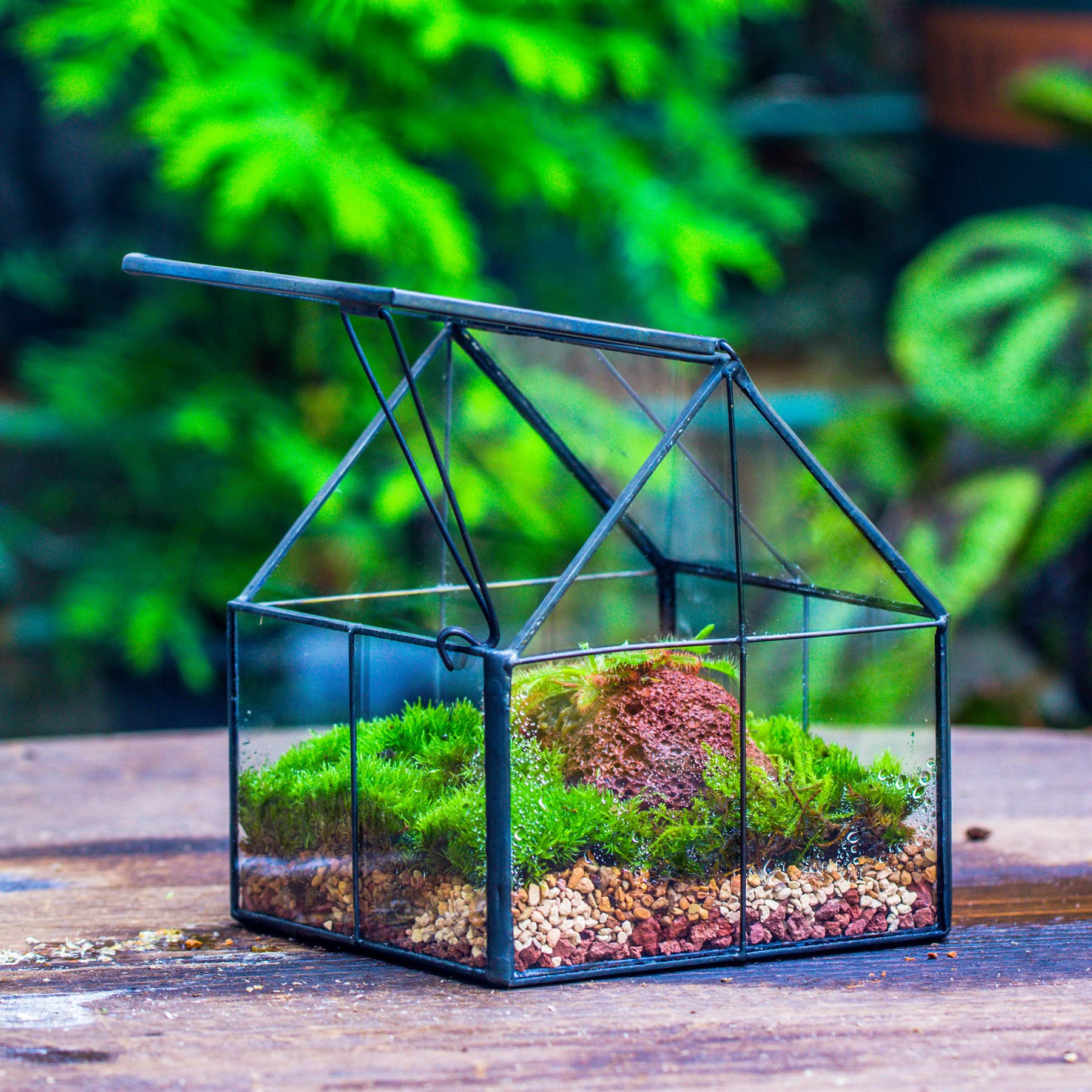 NCYP 4.25" x 4.25" x 4.92" Mini Glass Geometric Terrarium with Lid - Small House Shape Close Planter Pot for Succulents Plant - Handmade, Home Garden Office Tabletop Decor, Black (Terrarium Only)