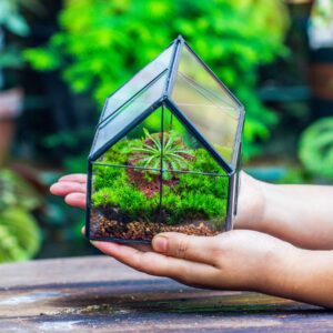 NCYP 4.25" x 4.25" x 4.92" Mini Glass Geometric Terrarium with Lid - Small House Shape Close Planter Pot for Succulents Plant - Handmade, Home Garden Office Tabletop Decor, Black (Terrarium Only)