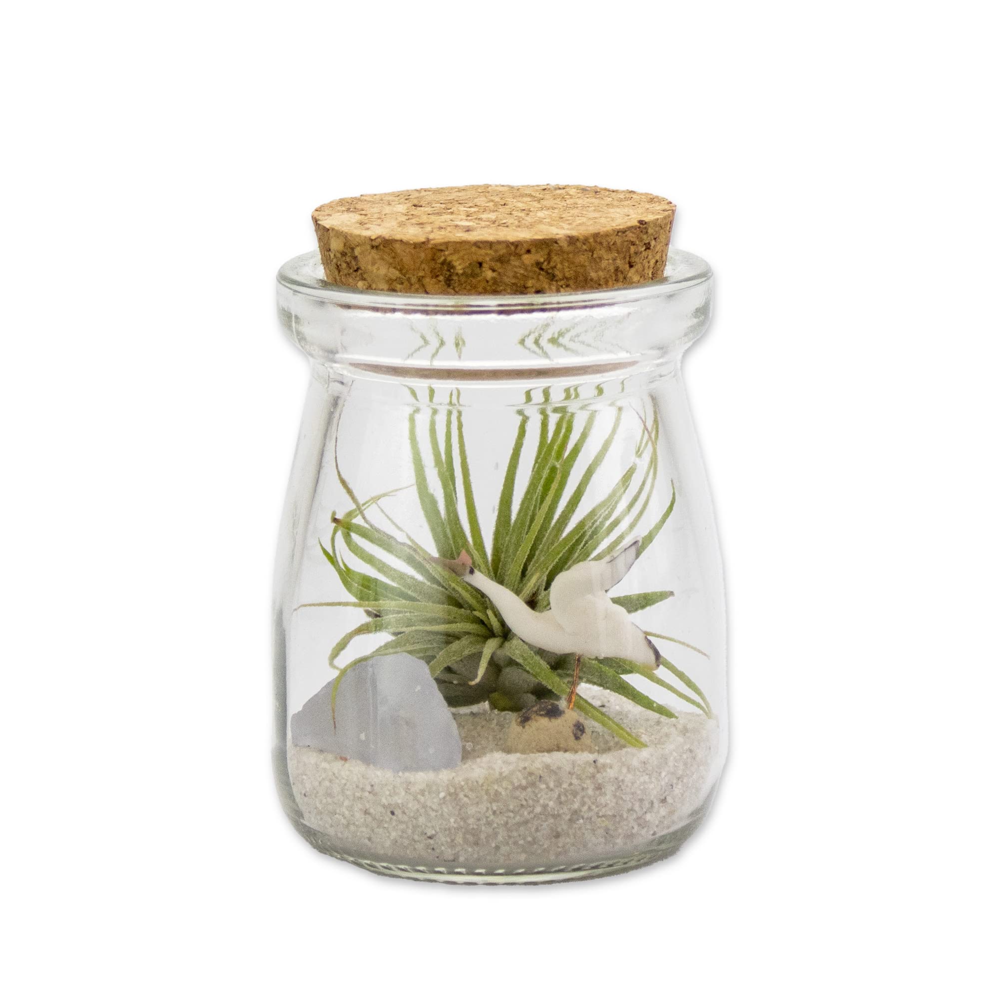 3 Inch Mini Glass Jar DIY Terrarium Kit with Live Tillandsia Ionantha Air Plant, Sand, Colored Sea Glass and Miniature Figurine for Indoor Gardens and Home Décor (Crane)