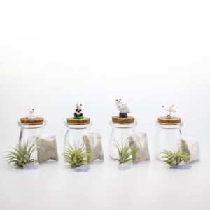 3 Inch Mini Glass Jar DIY Terrarium Kit with Live Tillandsia Ionantha Air Plant, Sand, Colored Sea Glass and Miniature Figurine for Indoor Gardens and Home Décor (Crane)