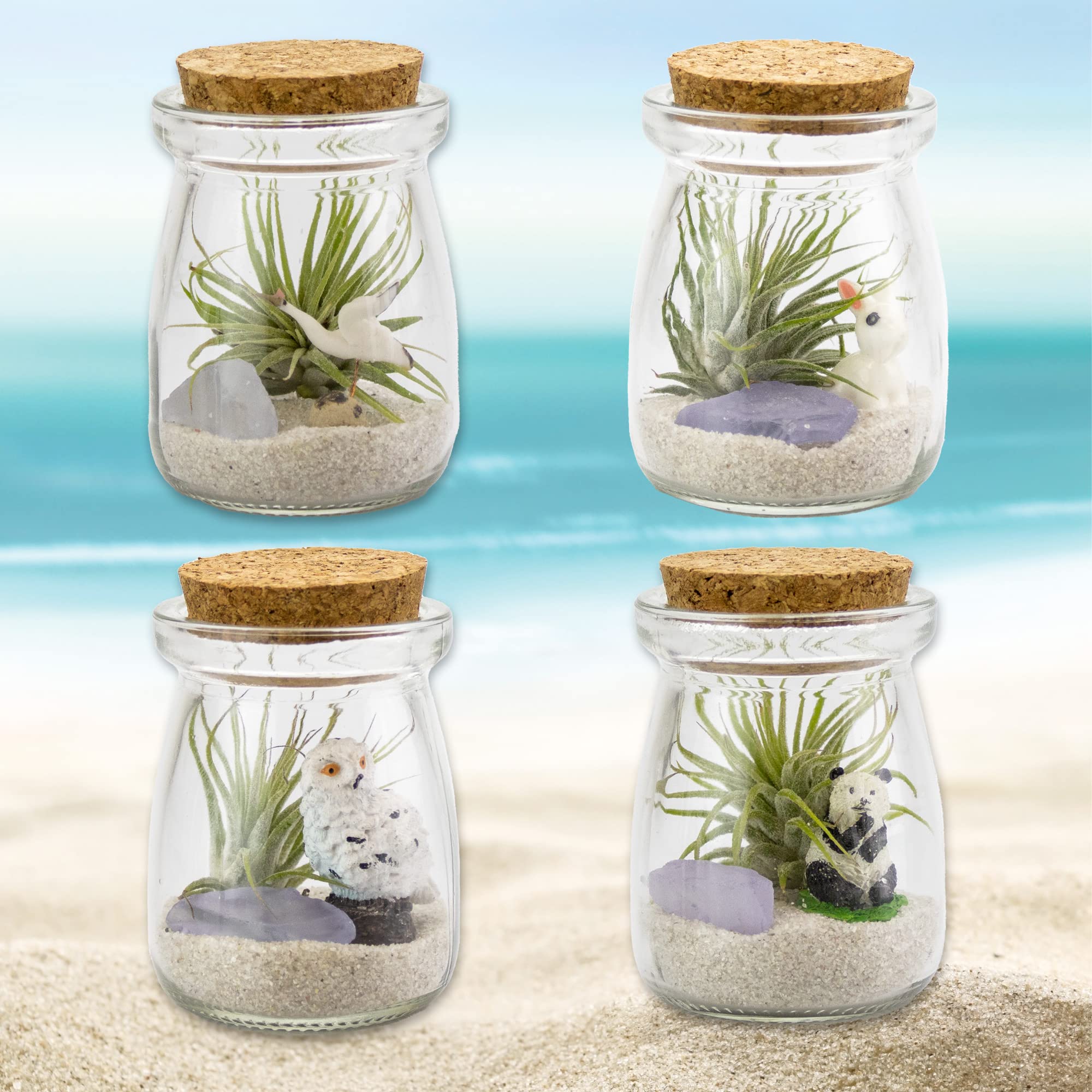 3 Inch Mini Glass Jar DIY Terrarium Kit with Live Tillandsia Ionantha Air Plant, Sand, Colored Sea Glass and Miniature Figurine for Indoor Gardens and Home Décor (Crane)