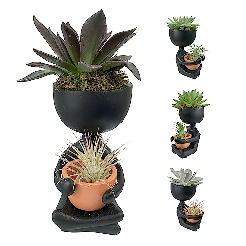 Zen Harmony Planter - Live Plants in a Decorative Pot - Cactus | Succulent | Air Plant - A Symbol of Serenity and Natural Beauty