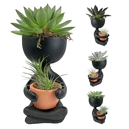 Zen Harmony Planter - Live Plants in a Decorative Pot - Cactus | Succulent | Air Plant - A Symbol of Serenity and Natural Beauty