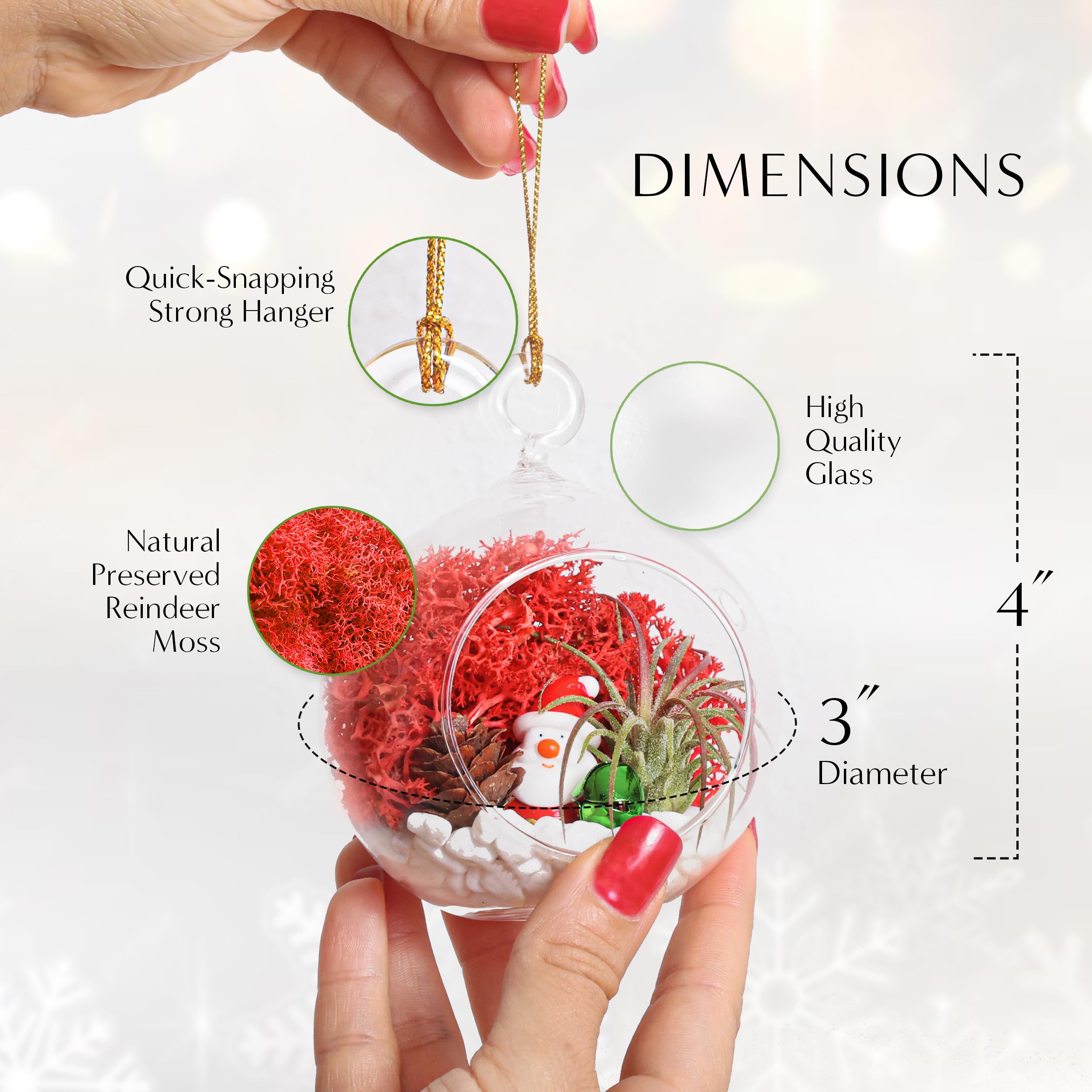 Creations by Nathalie - DIY Holiday Ornaments Terrarium Kit - Live Air Plants - 2 Glass Terrariums, Reindeer Moss, Christmas Figurines, White Stones