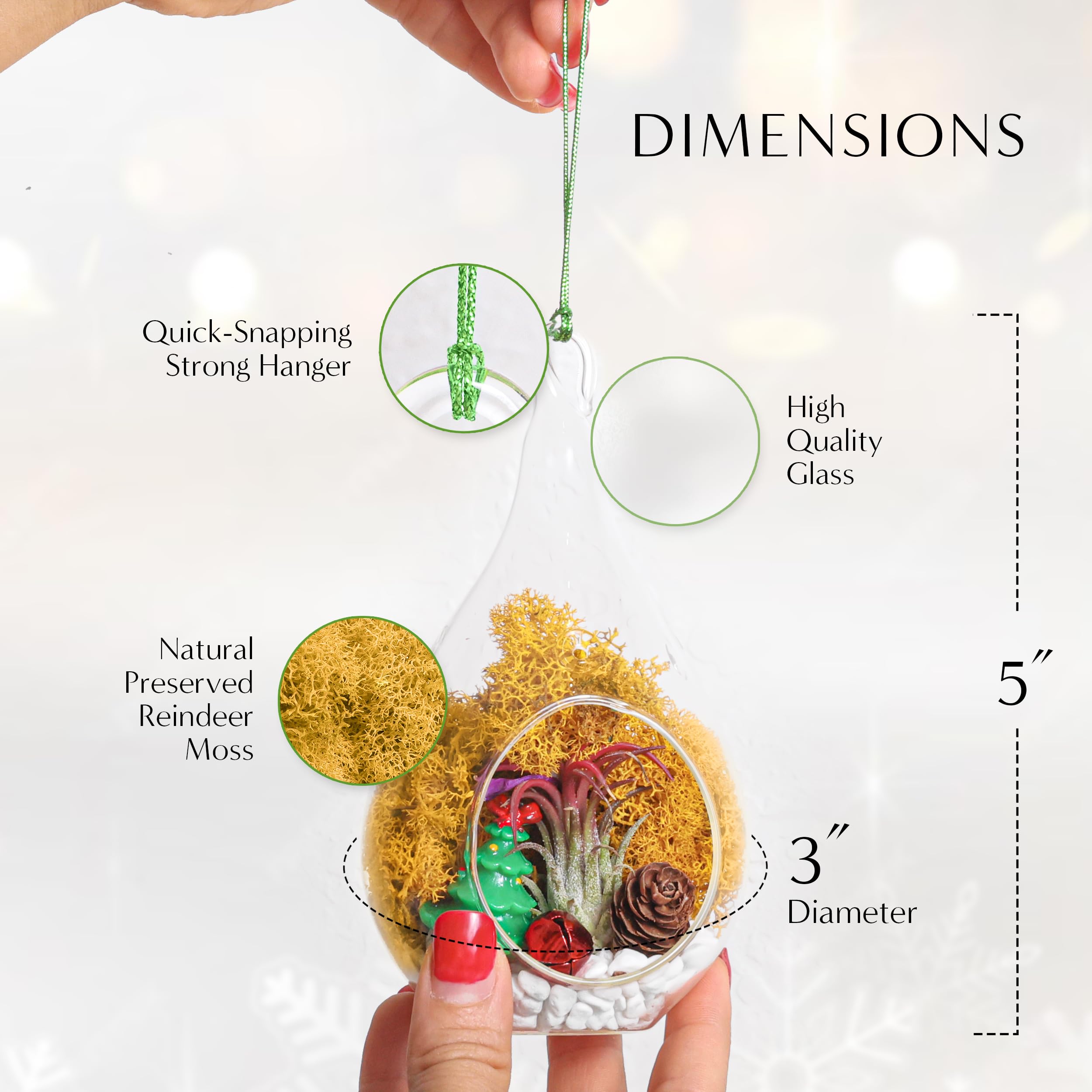 Creations by Nathalie - DIY Holiday Ornaments Terrarium Kit - Live Air Plants - 2 Glass Terrariums, Reindeer Moss, Christmas Figurines, White Stones