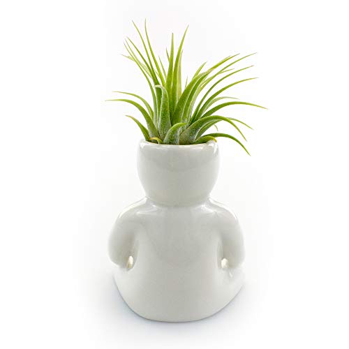 3.25 Inch White Ceramic Meditating Person Shaped Planter with Live Tillandsia Air Plant - Potted Indoor Air Plants for Home and Office Decor