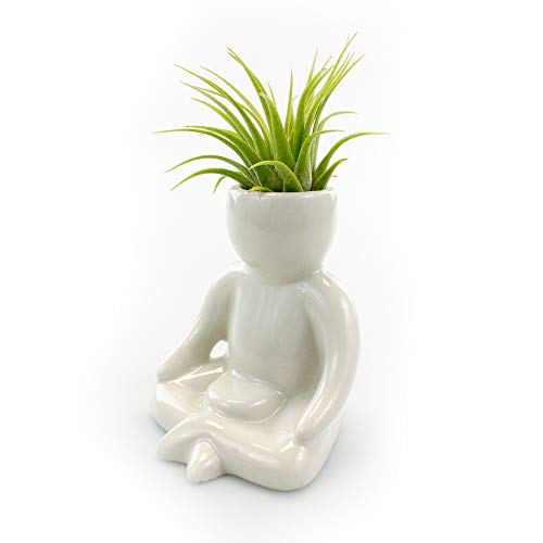 3.25 Inch White Ceramic Meditating Person Shaped Planter with Live Tillandsia Air Plant - Potted Indoor Air Plants for Home and Office Decor