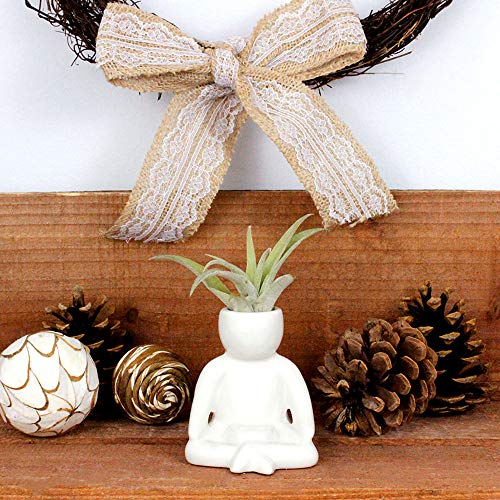 3.25 Inch White Ceramic Meditating Person Shaped Planter with Live Tillandsia Air Plant - Potted Indoor Air Plants for Home and Office Decor