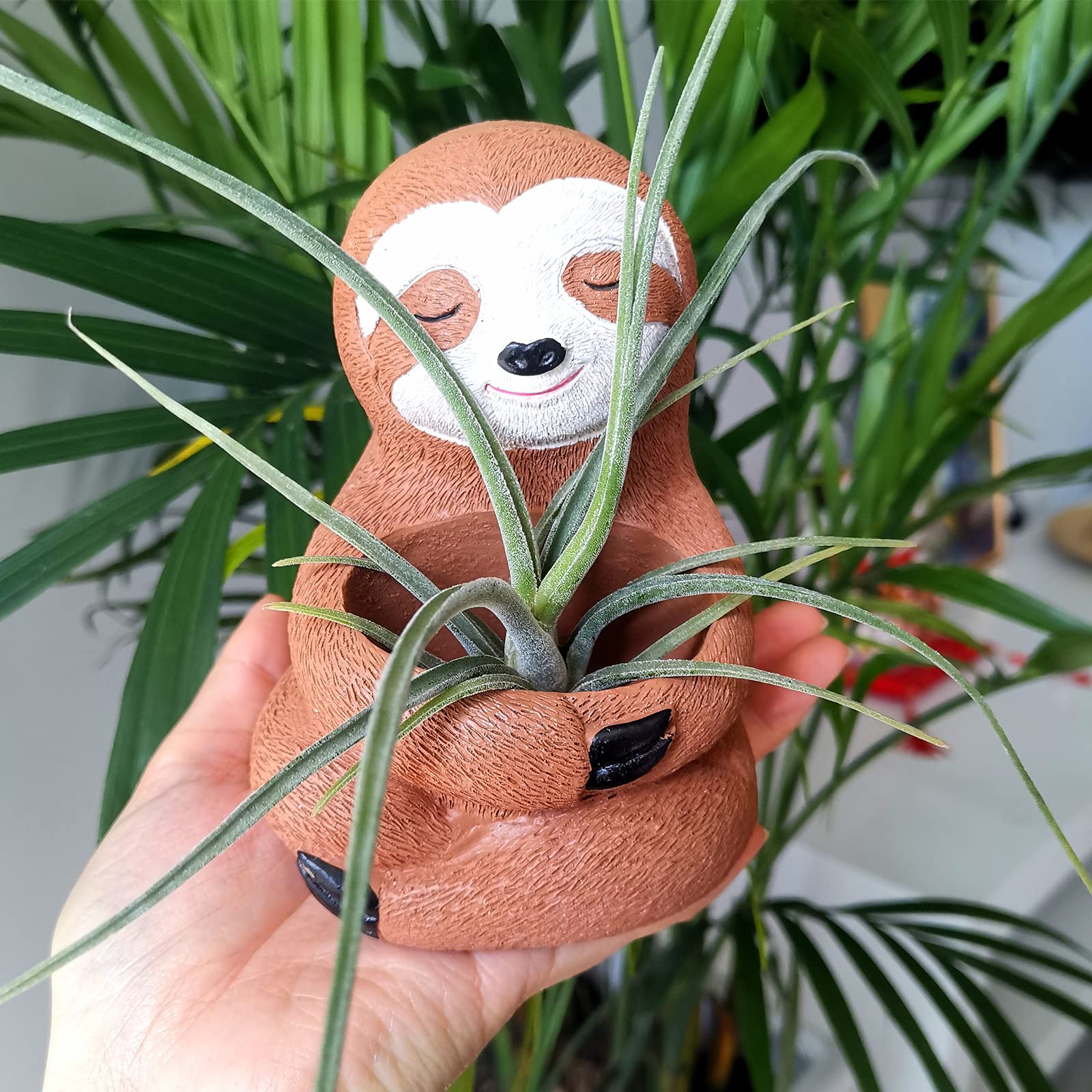 AIPOGOOIN Air Plants Holders Unique, Sloth Gifts for Women Plant Lovers Gardeners Coworkers Girls, Cute Sloth Decor for Home Office Desk