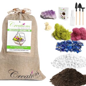 creations by nathalie – premium small diy succulent, cactus, or air plant terrarium kit with soil, moss, pebbles, terrarium tools, amethyst gem, crystal chips - handmade in usa